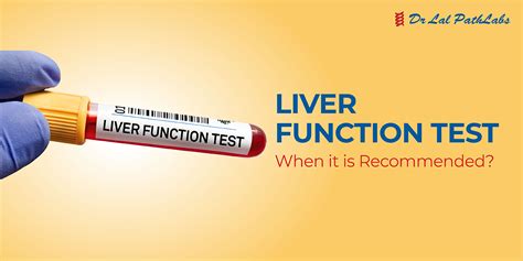 liver soft tissue test|testing for liver function.